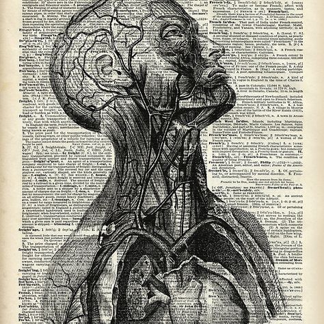 Medical Human Anatomy Illustration Over Old Book Page Human Anatomy Illustration, Dark Academia Posters, Anatomy Illustration, Medical Drawings, Medical Posters, Human Anatomy Drawing, Human Skeleton, Book Page Art, Human Anatomy Art