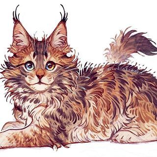 Maine coon . . . #mainecoon #mainecoonkitten #mainecooncats #kitten #cats #cat #pet #pets #animals #animalart #digitalart Fluffy Rat, Maine Coone, Mainecoon Cat, Cat Template, Cute Cat Drawing, Cat Anime, Cat Spray, Warrior Cats Art, 수채화 그림