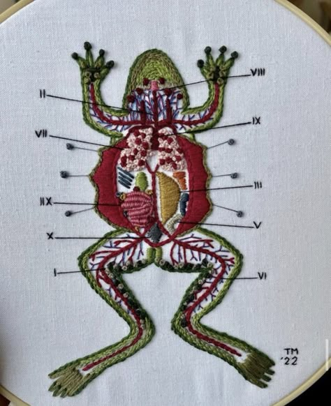 Frog Dissection, Napoleon Complex, Strange People, Army Memes, Floating City, Hand Embroidery Art, Shirt Embroidery, Mad Scientist, Needle Art