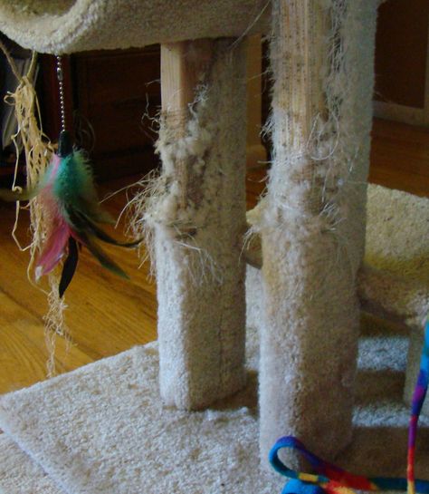 CAT TREE REFURBISHING 101:  Are you looking to spruce up your well-loved, but falling-to-pieces cat tree? Check out this excellent step-by-step "DIY" process from our expert Cat Attendant, Trane West: www.petsunlimited.org/wp-content/uploads/2012/05/DIY-Cat-Tree-Refurbish-101.pdf Cats Tree, Cat Condos, Cat Tree House, Diy Cat Tree, Cleaning Pet Hair, Hair Cleaning, Kitten Wallpaper, Next Life, Cat Things