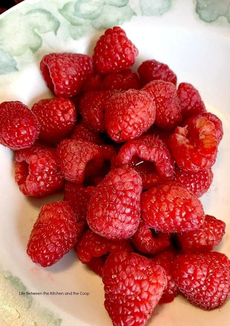 How to Make Dehydrated Raspberries for Food Storage  #raspberries #raspberryrecipes #campingrecipes #healthysnacks #fooddehydrator #dehydrator #foodstorage  #vegetariansnacks #vegansnacks #vegan #vegetarian Dehydrated Raspberries, Dehydrating Fruit, Make Healthy Snacks, Fermenting Recipes, Diy Food Storage, Dehydrated Fruits, Preserving Vegetables, Homemaking Skills, Dehydrating Food