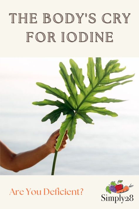 How To Make Iodine, Iodine Health Benefits, Iodine Deficiency Symptoms, Benefits Of Iodine, Iodine Benefits, Sallow Skin, Mineral Nutrition, Iodine Deficiency, Mineral Deficiency