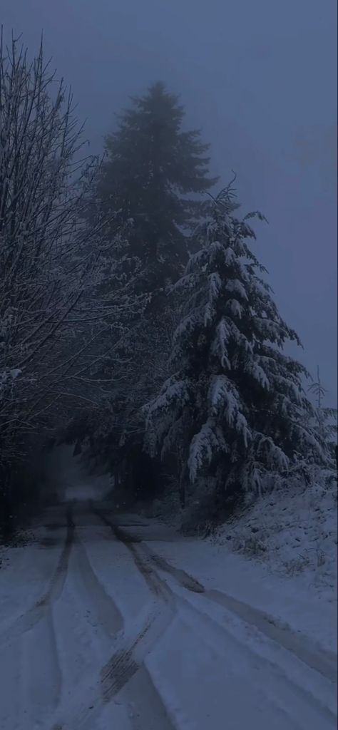 Dark Winter Background, Cold Winter Night Aesthetic, Dark Winter Aesthetic Wallpaper, Dark Winter Wallpaper, Winter Night Aesthetic, Snow Aesthetic Wallpaper, Dark Winter Aesthetic, Snowing Aesthetic Wallpaper, Road Wallpaper