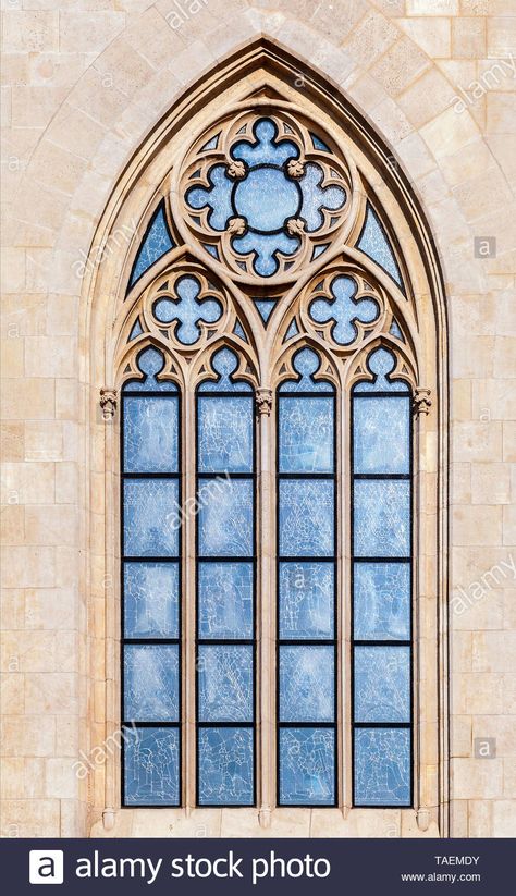 Download this stock image: Ornamented window of a cathedral in gothic style - TAEMDY from Alamy's library of millions of high resolution stock photos, illustrations and vectors.