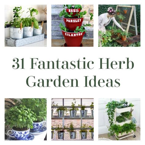 Hello, DIYers! Are you interested in growing your own herb garden? Look no further! You can put one outside, inside, or grow it in a greenhouse. Which one of these interesting herb gardens will you choose to recreate?! Happy gardening! Up-cycled Fence Post Vertical Herb Garden Give this a shot! Found Rebecca’s Bird Gardens Small […] The post 31 Fantastic Herb Garden Ideas appeared first on DIY Projects by Big DIY Ideas. Ladder Planter, Herb Garden Ideas, Herb Garden Pots, Hanging Herb Garden, Hanging Herbs, Herb Gardens, Vertical Garden Wall, Vertical Herb Garden, Pallet Ideas Easy