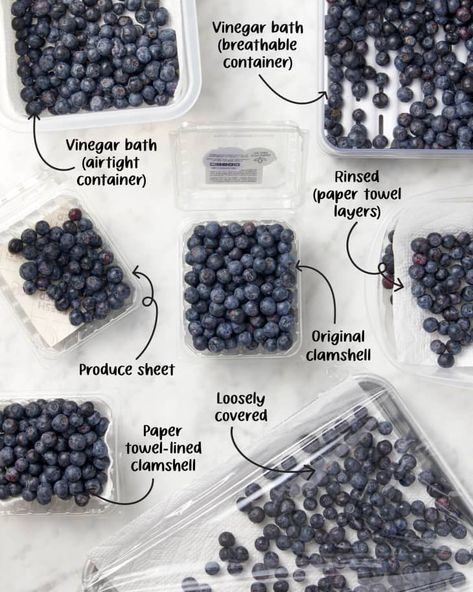 The Best Way to Store Blueberries | The Kitchn Storing Blueberries, How To Store Blueberries, Cooking Stuff, How To Cook Lobster, Waffle Cookies, Rice Ingredients, Fruit Storage, Food Saver, Food History