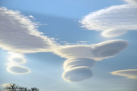 Rare spectacle: These lenticular clouds, also known as altocumulus standing lenticularis, ... Evaporation And Condensation, Lenticular Clouds, Weather Cloud, Wild Weather, Belle Nature, Atmospheric Phenomenon, Cloud Shapes, Natural Phenomena, Sky And Clouds