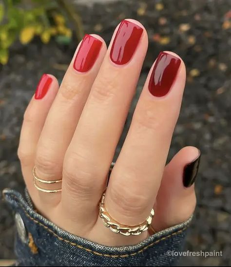 2023 Fall Nail Trends - Lauren Erro Red Multi Colored Nails, Nails Rojas Cortas, Mixed Nails, Multicolored Nails, White Tip Nails, Not Nice, Paint The Town Red, Inspiration Nails, Natural Nail Care