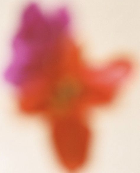 Abstract Floral Photography, Motion Blur Photography, Blur Photography, Graphic Arts Illustration, Floral Photography, Floral Photo, Ethereal Art, Photography Design, Types Of Art