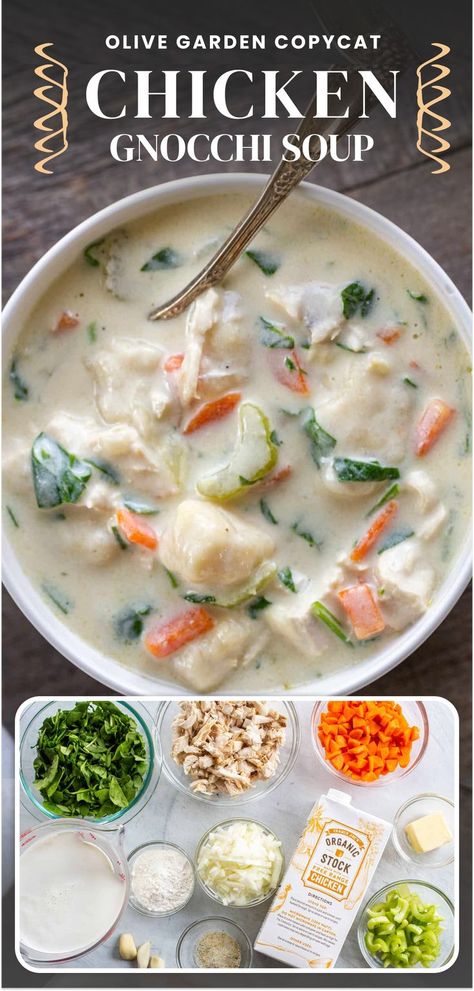 Olive Garden Dumpling Soup, Chicken Nooki Soup, Nochi Soup Olive Garden, Pioneer Woman Rotisserie Chicken Gnocchi, Olive Garden Chicken Gnocchi Soup Dairy Free, Chicken Gnocchi Soup With Rotisserie Chicken, Chicken Gnocchi Pesto Soup, Chicken Nochi Soup Crockpot, Crockpot Soup Recipes Gnocchi