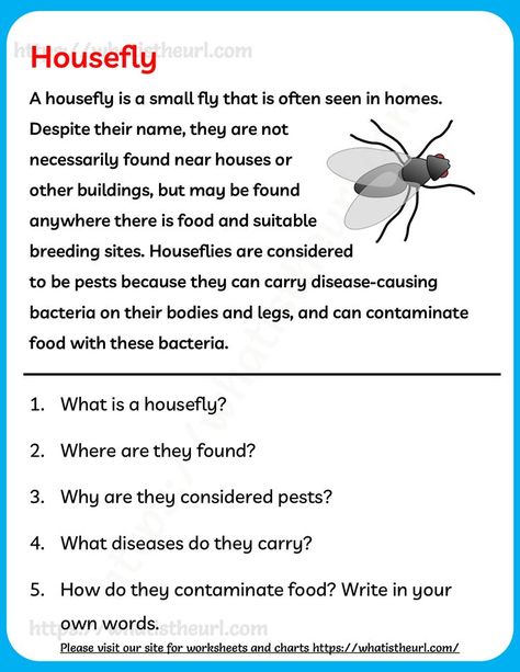 It is a one page reading comprehension on houseflies. This can be usef for Grade 2 or Grade 3. Listening Comprehension Passages, Passage Writing For Grade 3, Dictation For Grade 3, Cloze Passages For 2nd Grade, Reading Comprehension Passages Grade 3, Dictation Paragraph For Grade 2, Reading For Grade 2 English, Comprehension Passage For Grade 3, Reading Stories For Grade 2 Student