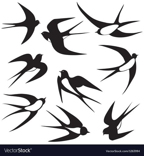 Bird swallow set poses vector image Silhouette Arte, Bird Silhouette Tattoos, Vogel Silhouette, Vogel Tattoo, Swallow Tattoo, Silhouette Tattoos, Bird Silhouette, Birds Tattoo, Silhouette Art