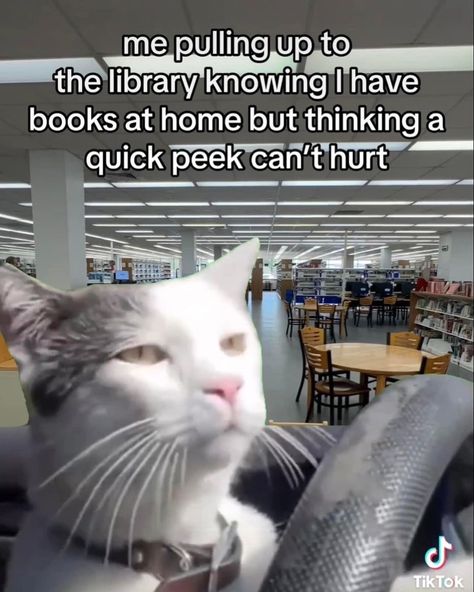 Follow our backup page @librarian.humor . Via @ dm us . . #book #Books #booksofinstagram #librarian #library #bookstagram #librariansofinstagram #librarylife #libraries #booklover #librarians #librarianlife #schoollibrarian #bibliophile #k #schoollibrary Book Lover Meme, Library Memes, Librarian Humor, Bookish Content, Reading Funny, Bookworm Things, Reading Meme, Library Humor, Shopping Meme