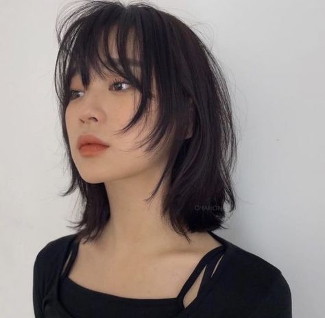 Wolf cut is a tapered haircut with a choppy short layers that start at the crown and gradually get longer toward the end. The haircut is defined by its heavy layers and the volume at the crown and looks like a mixture of shag and mullet. Haircut inspired by Mikasa Ackerman #pixiebobhaircut #hairology https://youtu.be/lc9jcog75Nc Bob Hair Dye, Pop Hair, Asian Short Hair, Wolf Cut, Shot Hair Styles, Hair Stylies, Haircuts Straight Hair, Bob Hair, Short Hair Haircuts