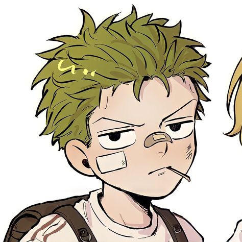 Zosan Matching Icons, Duo Matching Icons, Duo Pfp, One Piece Matching, Zoro And Sanji, Luffy Fanart, Zoro Sanji, Zoro Roronoa, Match Icons