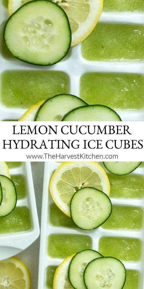 Make spa-like cucumber lemon water (also called cucumber detox water and ice flavored water) by adding these Hydrating Lemon Cucumber Ice Cubes (flavor ice) to your water daily for the added nutritional, hydrating and weight-loss benefits. Lemon Water Ice Cubes, Lemon Lime Cucumber Water Benefits, Cucumber Basil Water, Lemon Ice Cubes For Water, Herb Ice Cubes, Flavored Ice Cubes For Water, Lemon Cucumber Recipes, Cucumber Ice Cubes, Ice Flavored Water