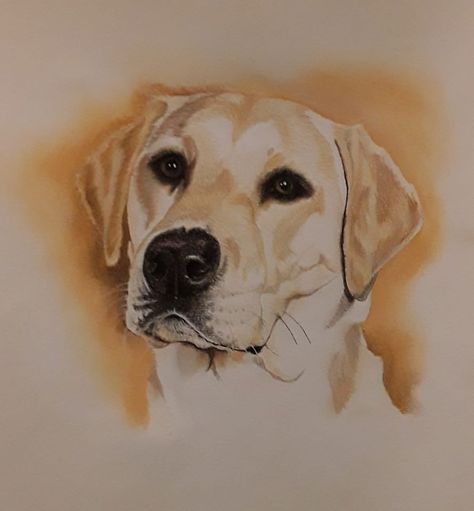 Yellow Lab Drawing Easy, Labrador Watercolor Painting, Yellow Lab Tattoo Ideas, Labrador Painting Easy, Lab Dog Drawing, Yellow Lab Drawing, Lab Sketch, Yellow Lab Watercolor, Yellow Lab Painting