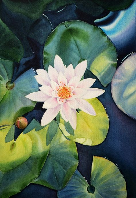 Waterlily – SOLD – Tiny Pochi Watercolours Water Lilly Drawing Flowers, Waterlily Embroidery, Waterlily Drawing, Waterlilies Watercolour, Watercolour Water Lily, Waterlily Watercolor, Water Lily Illustration Art, Dream Paintings, Waterlily Painting