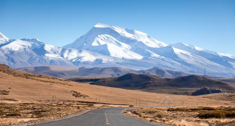 Qinghai is one of the least populated, most dramatic, and yet least explored regions of China. Canola Flower, Giant Buddha, Buddhist Scriptures, Alpine Meadow, Natural Scenery, Cool Places To Visit, A World, The Good Place, Travel Destinations