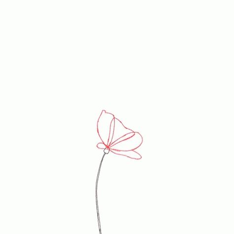 Simple Flower GIF - Simple Flower - Discover & Share GIFs Flower Animated, Video Png, Cutie Cat-chan, Line Animation, Floral Logo Design, Transparent Flowers, Animation Sketches, Overlays Picsart, Shared Folder