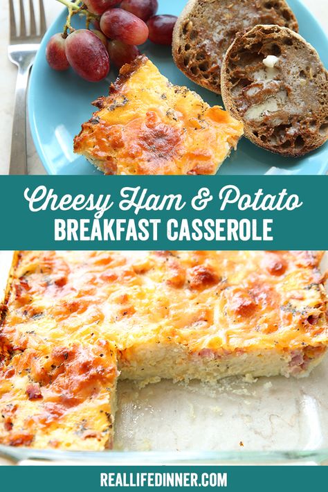 Cheesy Ham and Potato Breakfast Casserole ~ https://reallifedinner.com Ham Eggs Potato Casserole, Ham And Potato Breakfast Casserole, Simply Potatoes Recipes, Seasoned Eggs, Ham And Egg Casserole, Potato Breakfast Casserole, Potato And Egg Breakfast, Cheesy Breakfast Casserole, Ham Breakfast Casserole