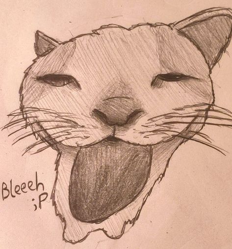 Cat Silly Drawing, Silly Cat Sketch, Silly Cat Drawing Sketch, Funny Cat Sketch, Gato Drawing, Silly Animal Drawings, Cat Sketch Easy, Low Quality Cat, Cat Drawing Silly