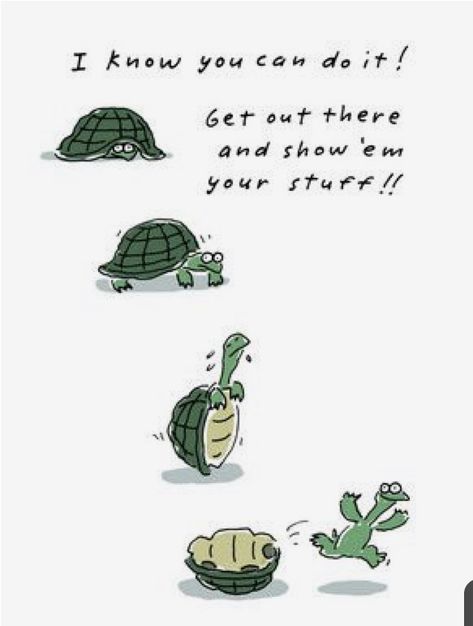 Exam Good Luck Quotes, Turtle Quotes, Funny Encouragement, Gift Coupon, Neuer Job, Turtle Love, Tuesday Motivation, Luck Quotes, Good Luck Quotes