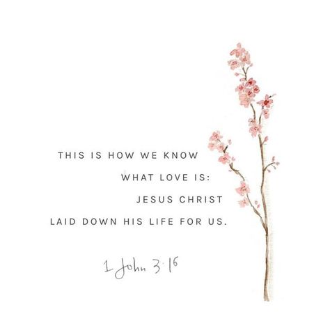 Flower Bible Verse, Easter Verses, Verses Bible, Christian Quotes Wallpaper, Give Me Jesus, Bible Study Verses, Special Quotes, Bible Words, Scripture Quotes