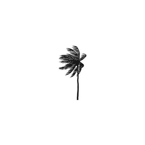 byRYANMCGRATH Palm Tattoo Men, Palm Tattoo Design, Florida Tattoo Ideas For Men, Florida Inspired Tattoo, Leg Tattoo Men Ideas, Florida Tattoo, Wind Tattoo, Underarm Tattoo, Palm Tattoo