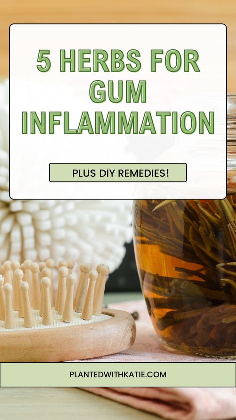 If you have recurring gum pain, it may be time to lean into nature's remedies. Read on for the top 5 herbs to alleviate gum pain and inflammation, plus DIY recipes to make your own herbal mouthwash & more! #gumpain #gumhealth #oralhealth #diytoothpaste #diymouthwash Herbal Mouthwash Recipe, Gum Inflammation Remedies, Gum Pain Relief Remedies, Swollen Gums Inflammation, Herbal Mouthwash, Herbs For Inflammation, Diy Mouthwash, Inflammation Remedies, Gum Inflammation