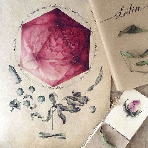 Russian Artist Reveals Her Mysterious Sketchbook To The World, And It's Full Of Visual Secrets Artist Journal, Sketchbook Drawings, Artist Sketchbook, Russian Artists, Sketchbook Journaling, Beautiful Drawings, Art Journal Inspiration, Botanical Illustration, Botanical Art