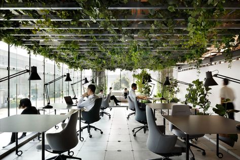 Gallery of Biophilic Offices: Landscape and the Working Environment - 3 Innovation Center, Office Lobby, Innovation Lab, Schematic Design, Green Office, Innovation Centre, Work Environment, Office Interior Design, Design Development