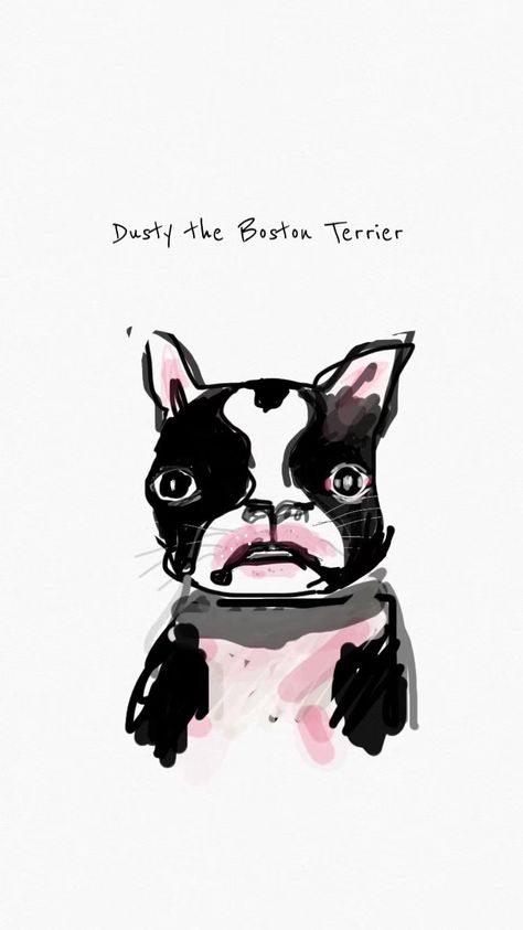 Cute Boston Terrier Drawing, Boston Terrier Cartoon, Boston Terrier Art Watercolor Painting, Boston Terrier Illustration Drawings, Terrier Drawing, Boston Terrier Clip Art, Terrier Illustration, Boston Terrier Illustration, Boston Terrier Funny