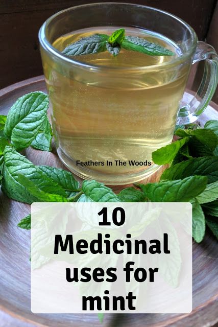 10 Medicinal uses for mint. Use mint tea for stomach upset, to increase alertness and more. Fresh mint can be grown in the garden or indoors in a container. Medicinal Garden Plants, Mint Medicinal Uses, What Can I Do With Mint Leaves, Fresh Spearmint Uses, Mint Herb Recipes, Ways To Use Mint, Mint Herb Uses, Fresh Mint Uses, What To Do With Mint Leaves