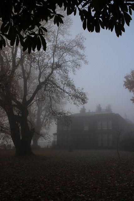 Sudley House in the autumn mist | by Towner Images Spooky Autumn, Dark Naturalism, Sebastian Michaelis, Dark Paradise, Ciel Phantomhive, Gothic Aesthetic, Dark Academia Aesthetic, The Fog, Academia Aesthetic