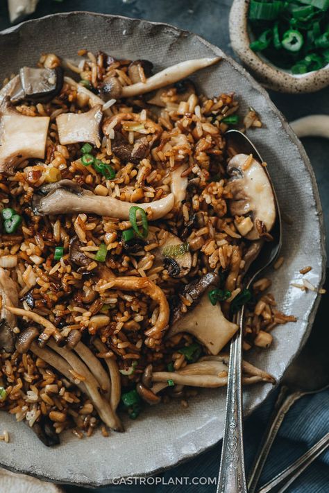 Oyster Mushroom Fried Rice, Brown Shimeji Mushroom Recipe, Shimeji Mushroom Recipe, Shitake Mushroom Recipes, Mushroom Japanese, Mushroom Brown Rice, Oyster Dinner, Easy Brown Gravy, Mushroom Fried Rice