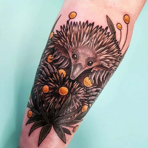 Echidna coverup @withlovetattoo @dreadarlingtattoo . 👉  Follow @tattooconnect for awesome tattoos designs 📷 by Australian artists only . -----------------++++------------- To get feature use one of the following  methods 👉  Tag us in your picture 👉  Mentions @tattooconnect in your caption 👉  Use #tattooconnectau -----------------++++------------- . #tattooartiat #tattoosofinstagram #tattooart #tattoolife #tattooiat #australiantattoo #animaltattoos Echidna Tattoo, Australian Tattoo, Awesome Tattoos, Tattoo Meaning, Tattoos Designs, Tattoo Inspo, Animal Tattoos, Australian Artists, Life Tattoos