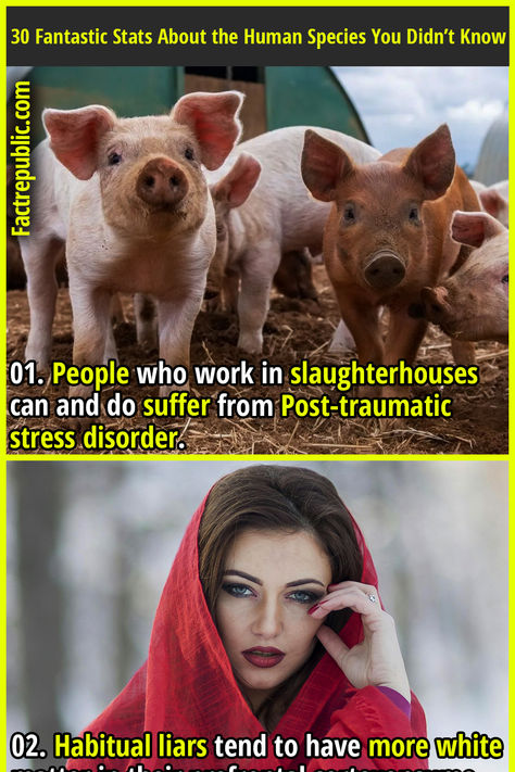 01. People who work in slaughterhouses can and do suffer from Post-traumatic stress disorder. Funny Weird Facts, Interesting Facts About Humans, Fun Facts Scary, Obscure Facts, Epic Facts, Human Body Facts, Facts About Humans, Psychological Facts Interesting, Fact Republic