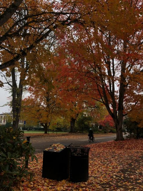 Oregon State University Aesthetic, Autumn Ambience, Oregon College, College Vibes, University Aesthetic, Corvallis Oregon, Fall Mood Board, Oregon State University, Dream College