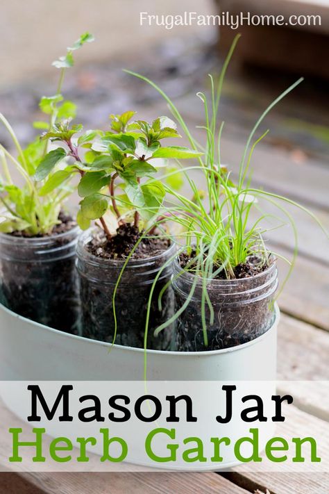 Herbs In Mason Jars, Diy Windowsill, Window Sill Herb Garden, Window Sill Plants, Windowsill Herb Garden, Window Herb Garden, Mason Jar Herbs, Mason Jar Herb Garden, Kitchen Window Sill