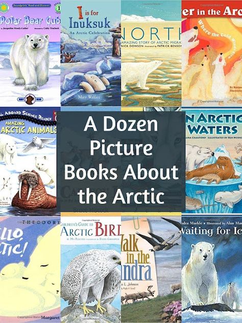 A Dozen Books for Teaching Kids About the Arctic Habitats Preschool, Animal Habitats Preschool, Polar Bear Facts, Arctic Habitat, Polar Animals, Kindergarten Books, Fashion Crafts, Animal Book, Living Books