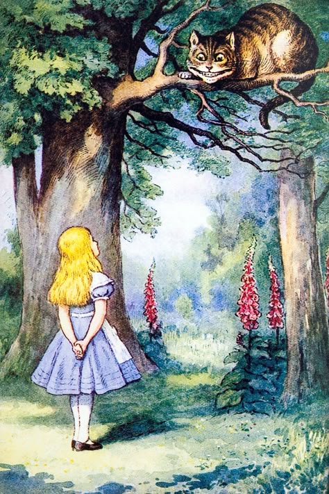 Alice In Wonderland Paintings, Girl Dog Names, Alice In Wonderland Artwork, Alice In Wonderland Illustrations, Wonderland Artwork, Wonderland Aesthetic, Alice In The Wonderland, Alice In Wonderland Aesthetic, Alice Madness Returns