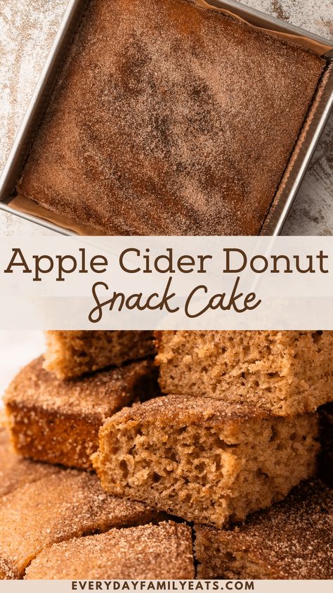 Apple Cinnamon Snack Cake, Baked Apple Cider Donuts With Cinnamon Maple Glaze, Apple Cider Donut Bars, Apple Cider Desserts Easy, Apple Cider Sheet Cake, Apple Cider Recipes Desserts Easy, Apple Cider Cake Donuts Recipe, Apple Pound Cake Recipes Moist, Bakery Style Desserts