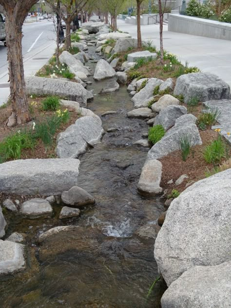 Bioswale/Raingarden Rainwater Management, Water From Air, Water Architecture, Lds Conference, Ecology Design, Dry Creek, Center City, Conference Center, Water Management