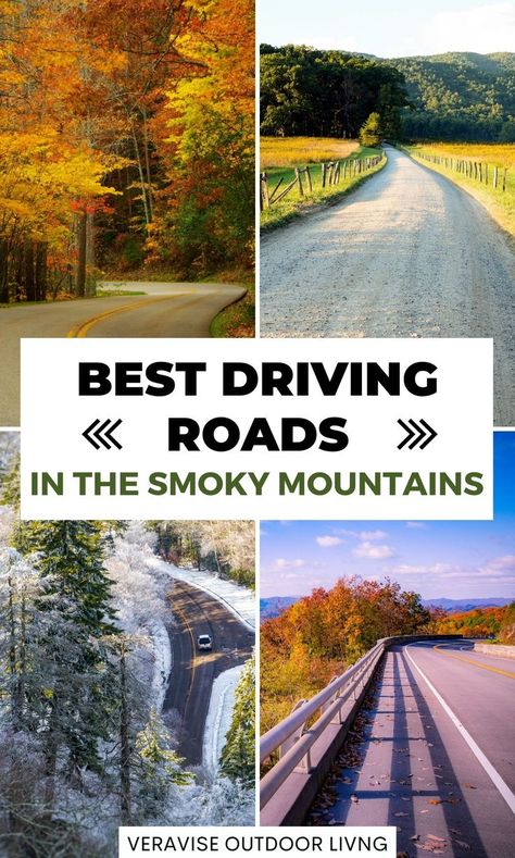 Best Driving Roads In Smoky Mountains • Cades Cove Loop Road • Cataloochee Valley • Newfound Gap Road • Roaring Fork Motor Nature Trail • The Foothills Parkway Roaring Fork Motor Nature Trail, Cataloochee Valley, Smokie Mountains, Mountain Rain, American Roadtrip, Smokey Mountains Vacation, Mountains Tennessee, Smoky Mountains Tennessee, Cades Cove Tennessee