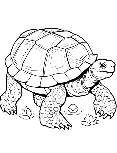 Tortoise Coloring Page, Zoo Coloring Pages Printables, Snake Coloring Pages Free Printable, Cute Tortoise Drawing, Skater Doodles, Animal Coloring Pages Free Printable, Coloring Page Animals, Tartaruga Habitat, Robin Craft