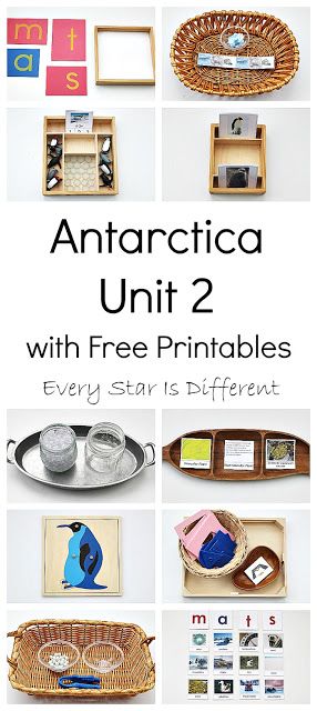 Montessori-inspired Antarctica learning activities and free printables for kids. Antarctica Activities For Kids, Antarctica Activities, Montessori Works, Montessori Geography, Montessori Printables, Winter Unit, Montessori Elementary, Montessori Method, Montessori Lessons