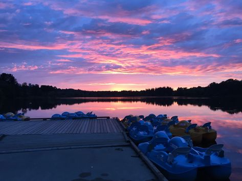 Spectacular Deer Lake Park, Burnaby, British Columbia (604) 521-3183 Pedal Boat, Lake Boat, Lake Park, Row Boat, Boat Rental, Tater Tot, British Columbia, Kayaking, Columbia