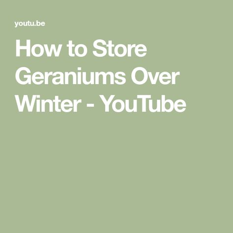 How to Store Geraniums Over Winter - YouTube Geraniums Over Winter, Winter Geraniums, How To Store, Geraniums, Gardening Ideas, Step By Step Instructions, My Website, More Information, Step By Step