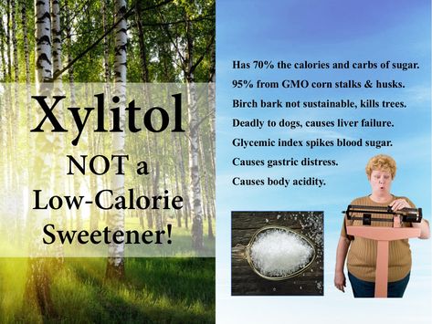 By Jane Barthelemy. Is Xylitol a healthy sweetener? Touted as a safe sugar substitute for diabetics in snacks, chewing gum, and baking, Xylitol is NOT the low-calorie sweetener it's cracked up to be. Just look at the nutrition label and you'll see it's loaded with calories and carbs. I don't accept that stripping birch bark and thus killing the ... Xylitol Gum, Good For Diabetics, Lemon Cream Pies, Healthy Sweeteners, Gmo Corn, Nutrition Label, Lime Bars, Liver Failure, Glycemic Index